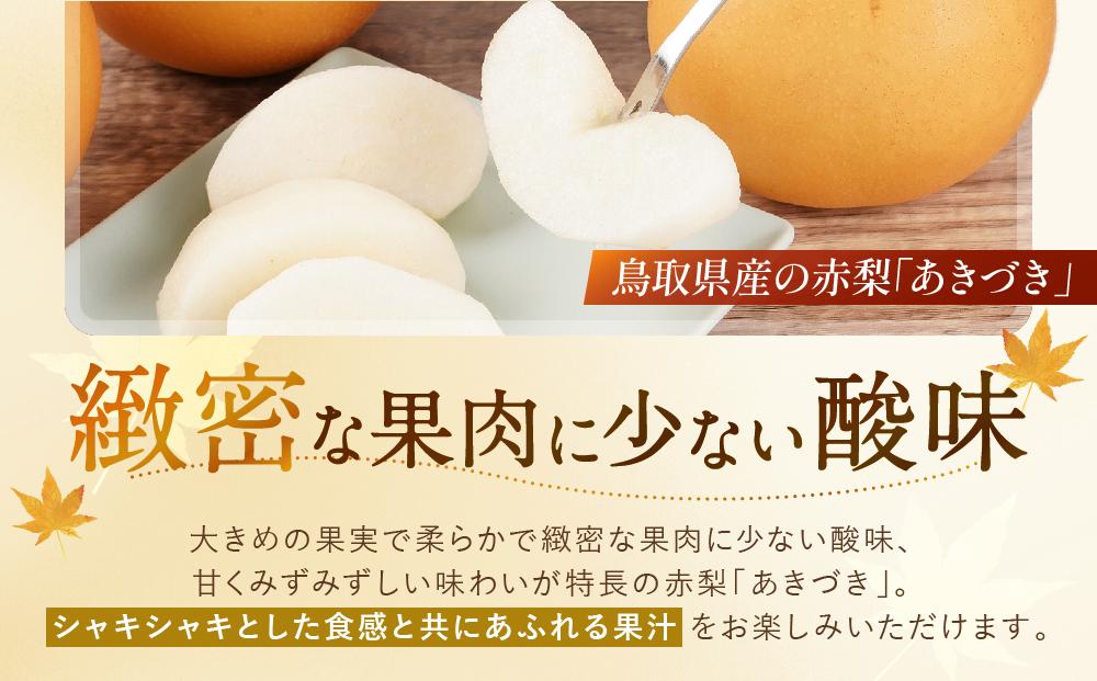 数量限定 鳥取県産梨 あきづき 5kg（10～12玉）