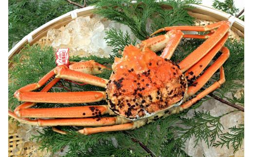 【先行予約】ブランドタグ付き 松葉ガニ（ボイル）1枚（800g以上）【年内配送】《ずわいがに　かに　カニ　蟹》