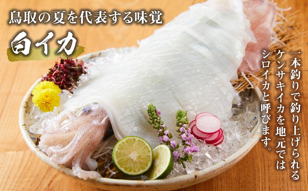 【先行予約 2026年6月以降発送】白いか 5 杯（ 1 杯 400 g ）