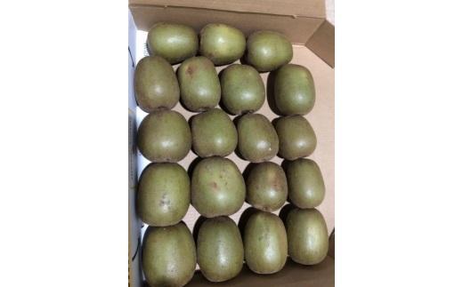 キウイフルーツ（レインボーレッド2kg）と追熟剤セット