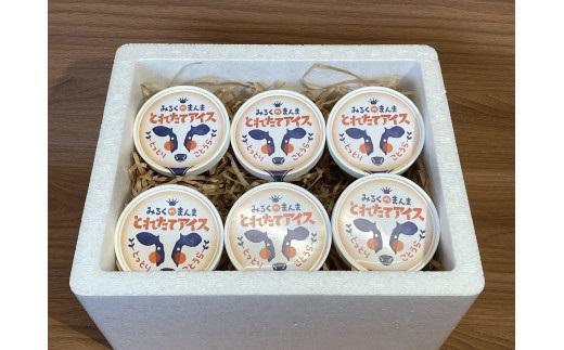 【2026年1月中旬以降発送】アイス 6個セット（90ml×6個）「みるくのまんま　とれたてアイス」《「食パラダイス鳥取県」最優秀賞受賞》