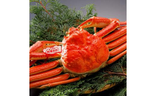 【2025年12月～2026年1月発送】特撰 松葉がに（茹）【ブランドタグ付き】1kg超の大きいサイズ 食べ応えあり 特大1杯