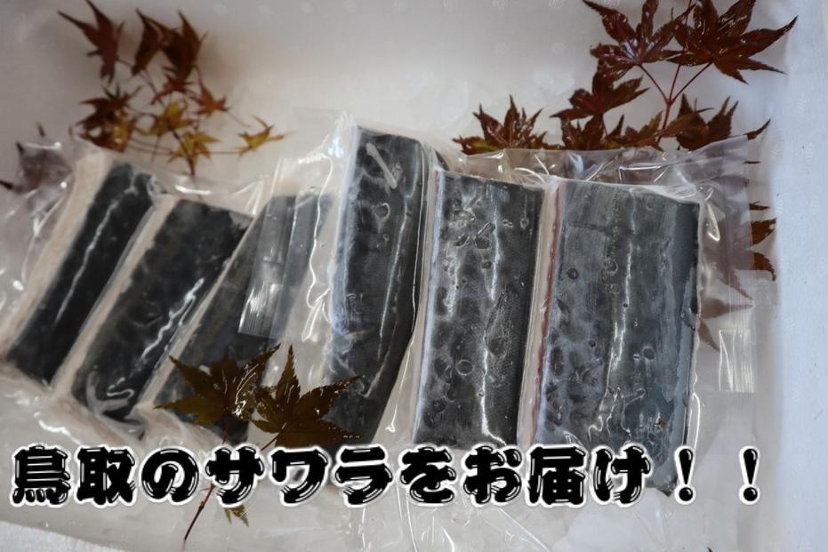 鳥取県産 サワラ６００g（３００g×２パック） 国産 サワラ 鰆 生食用 真空冷凍