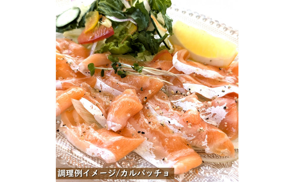 薬剤未使用で安心　国産とっとり琴浦グランサーモン刺身用500g いくら付 訳あり 小分け個包装で便利