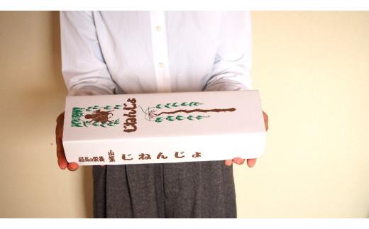 自然薯 350g 鳥取県琴浦町産 【12月上旬発送開始】