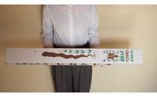 自然薯 850g 鳥取県琴浦町産 【12月上旬発送開始】