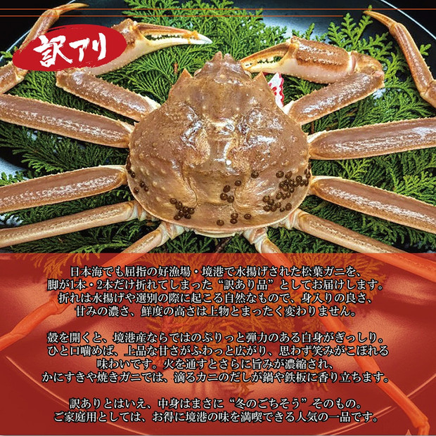 境港産 松葉ガニ500g（活冷）訳あり