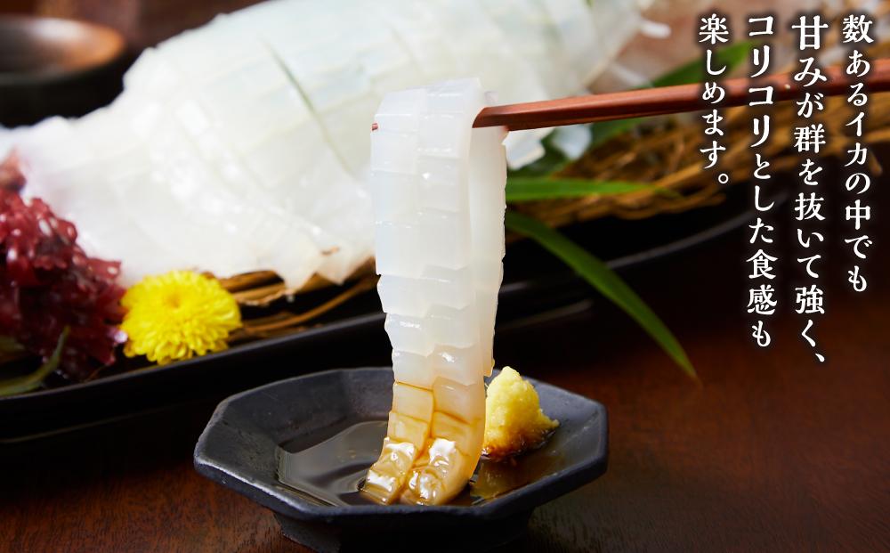 【先行予約 2026年6月以降発送】山陰直送 刺身用白イカ 700g（3～6杯）　※北海道、沖縄、一部離島への配送不可