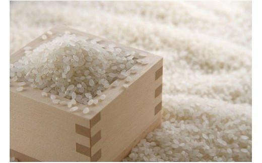 【定期便】5kg×6ヶ月　五ツ星お米マイスター特選米（鳥取県産）