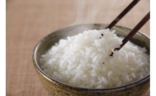 【定期便】5kg×12ヶ月　五ツ星お米マイスター特選米（鳥取県産）