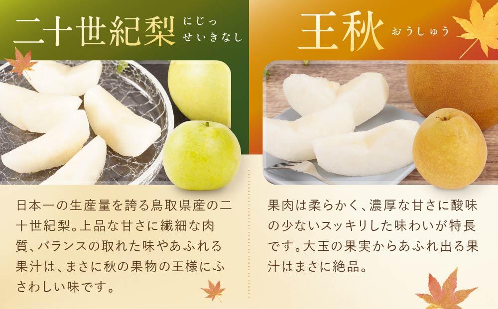 数量限定【定期便】鳥取県産 梨の食べ比べ 4種類コース