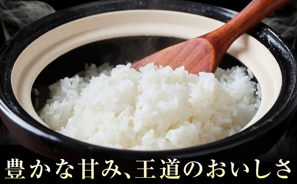 米 コシヒカリ 令和7年産 鳥取県産 5kg