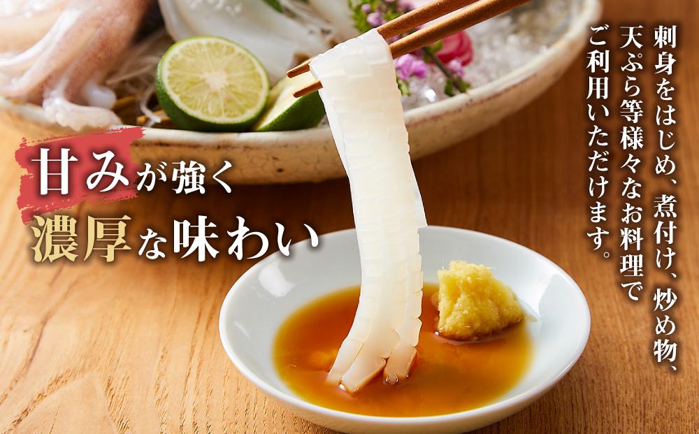 【先行予約 2026年6月以降発送】白いか 5 杯（ 1 杯 400 g ）