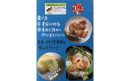 琴浦町産フィンガーライム 130g