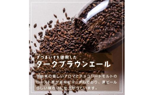 酒 クラフトビール　Patata Dolce Beer　6本セット