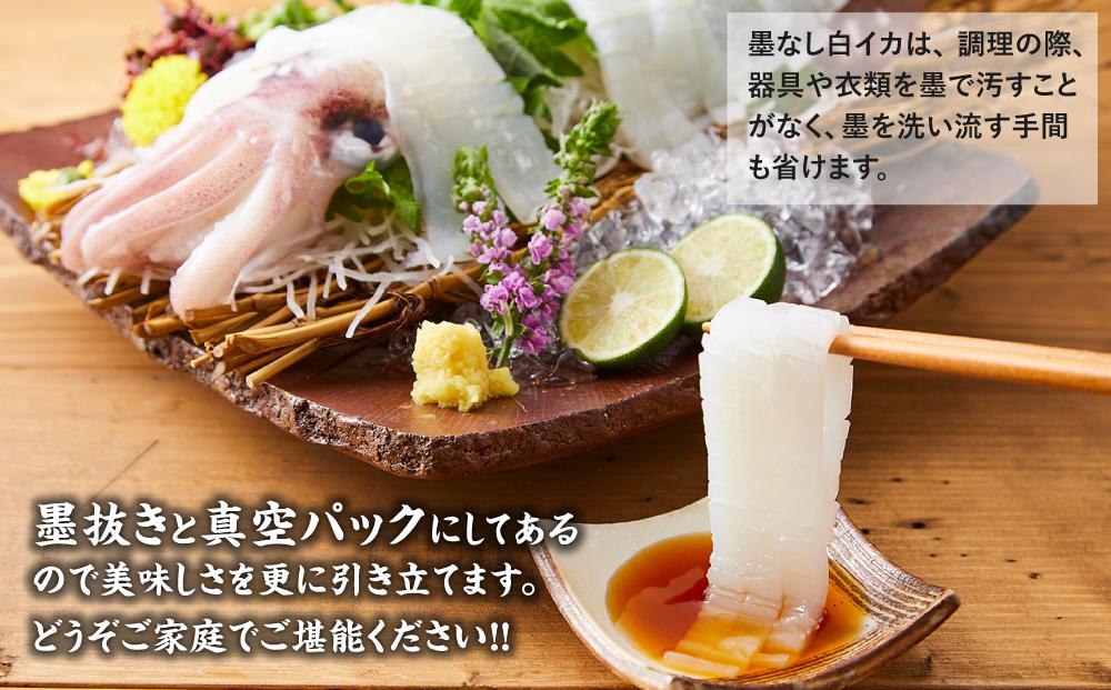 【先行予約 2026年7月以降発送】白輝姫（しらきひめ）下処理 墨抜き済み 剣先いか（白イカ）1kg（3〜4杯）