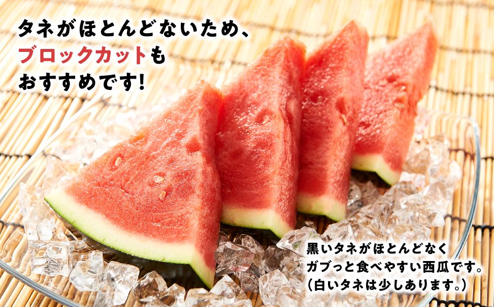 【先行予約 2026年6月下旬以降発送】 大玉 スイカ げん喜玉 西瓜 3Ｌ（1玉）