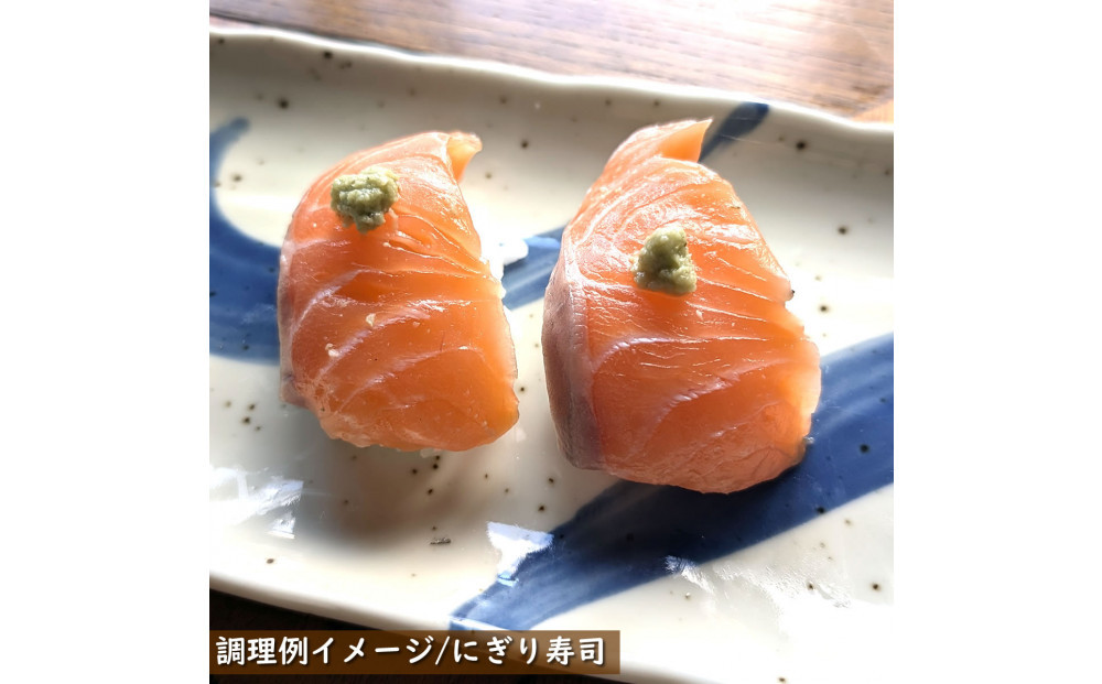 薬剤未使用で安心　国産とっとり琴浦グランサーモン刺身用500g いくら付 訳あり 小分け個包装で便利