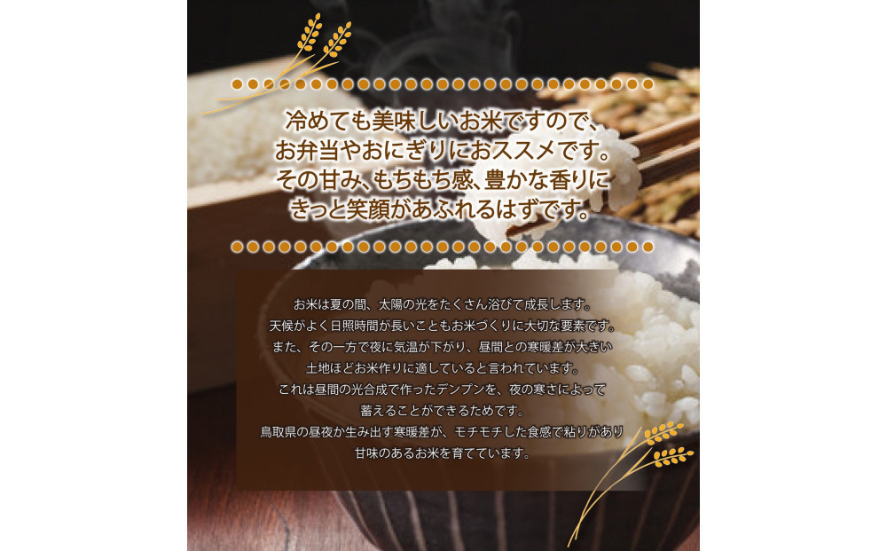 令和7年産　山崎農園こしひかり10kg