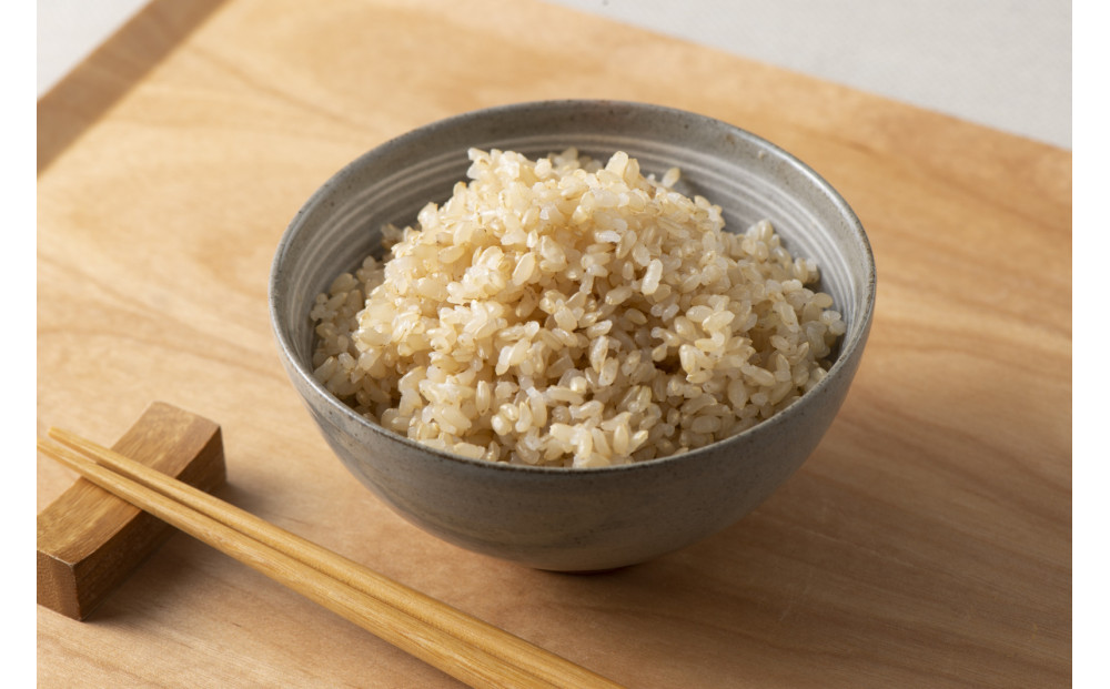 令和7年産　山崎農園こしひかり玄米10kg