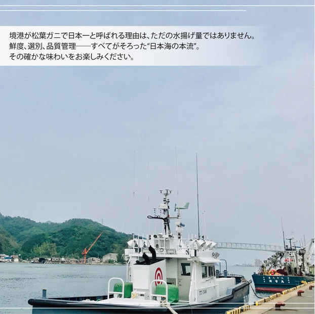 境港産 松葉ガニ500g（活冷）訳あり