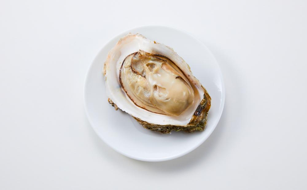 【先行予約 2026年6月以降発送】天然 岩ガキ 約 200 g × 8 個　※北海道、沖縄、一部離島への配送不可