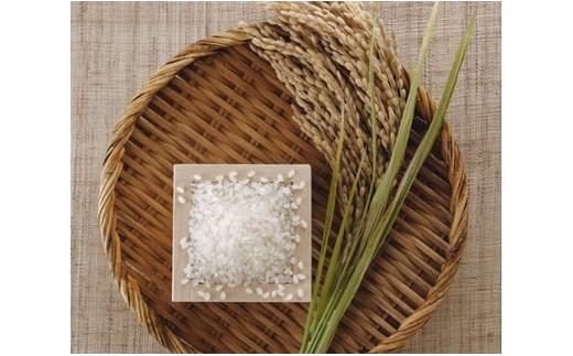 五ツ星お米マイスター 特選米 2kg（鳥取県産・7年産）