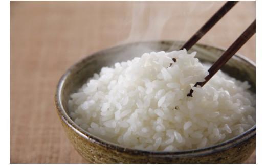 【定期便】3kg×12ヶ月　五ツ星お米マイスター特選米（鳥取県産）