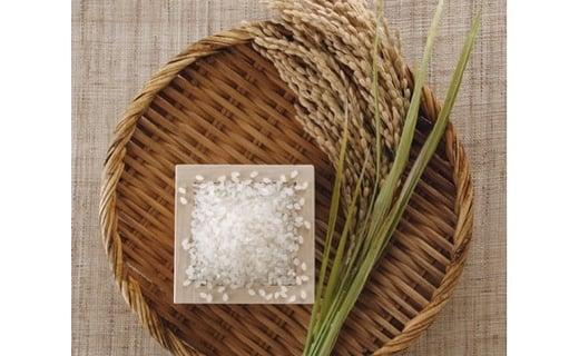 【定期便】5kg×12ヶ月　五ツ星お米マイスター特選米（鳥取県産）