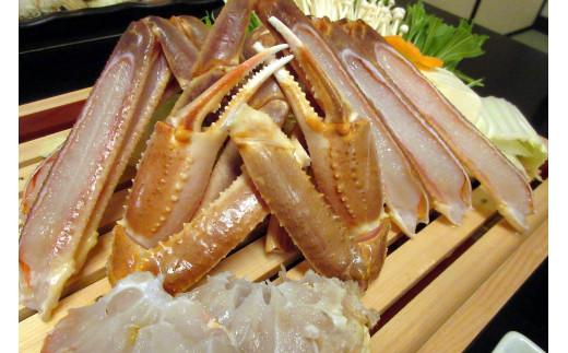 【先行予約】ブランドタグ付き 松葉ガニ（生）1枚（800g以上）【年内配送】《ずわいがに　かに　カニ　蟹》