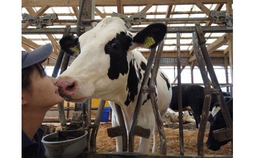 【2026年1月中旬以降発送】アイス 6個セット（90ml×6個）「みるくのまんま　とれたてアイス」《「食パラダイス鳥取県」最優秀賞受賞》