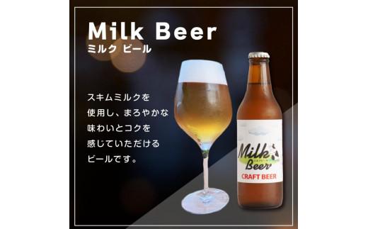 酒 クラフトビール　3種 6本セット