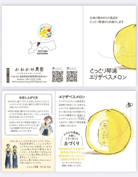 鳥取県琴浦町産　エリザベスメロン　秀品　2玉入り（約2kg）