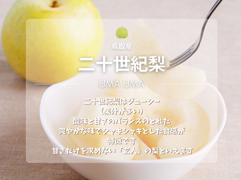 数量限定 鳥取県産 梨 訳あり ご自宅用 二十世紀梨 5kg