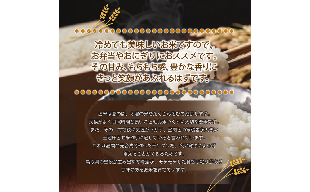 令和7年産　大上農園きぬむすめ 5kg