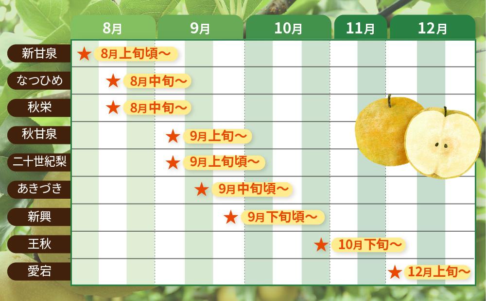 数量限定 鳥取県産梨 なつひめ 5kg（12～14玉）