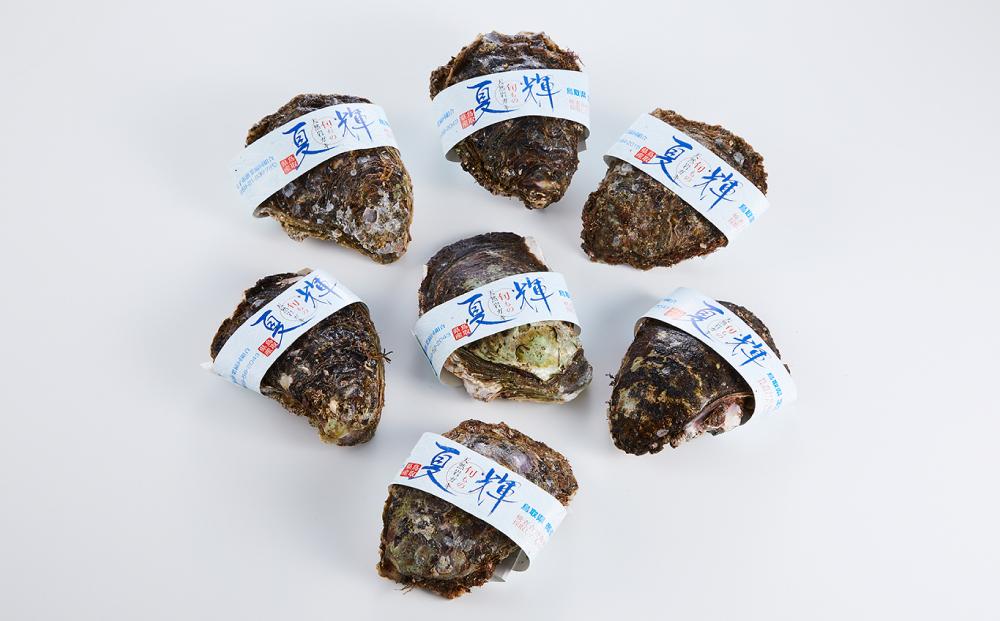 【先行予約 2026年6月以降発送】天然 岩ガキ ( 夏輝 ) 7 枚