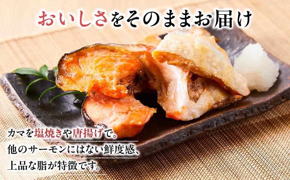 【先行予約 2026年1月中旬以降発送】【数量限定】訳あり 国産 とっとり 琴浦 グラン サーモン カマトロ 3kg（1kg×3パック）