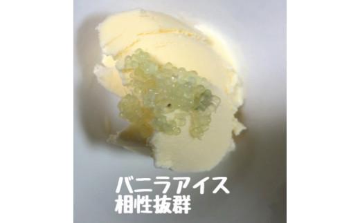 琴浦町産フィンガーライム 130g