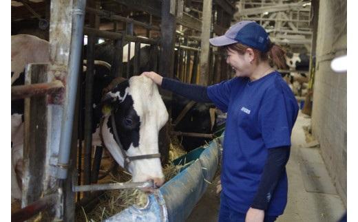 【2026年1月中旬以降発送】アイス 6個セット（90ml×6個）「みるくのまんま　とれたてアイス」《「食パラダイス鳥取県」最優秀賞受賞》