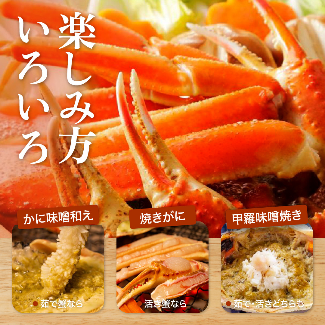 【2025年12月～2026年1月発送】特撰 松葉がに（茹）【訳あり】400g超のサイズ  2杯