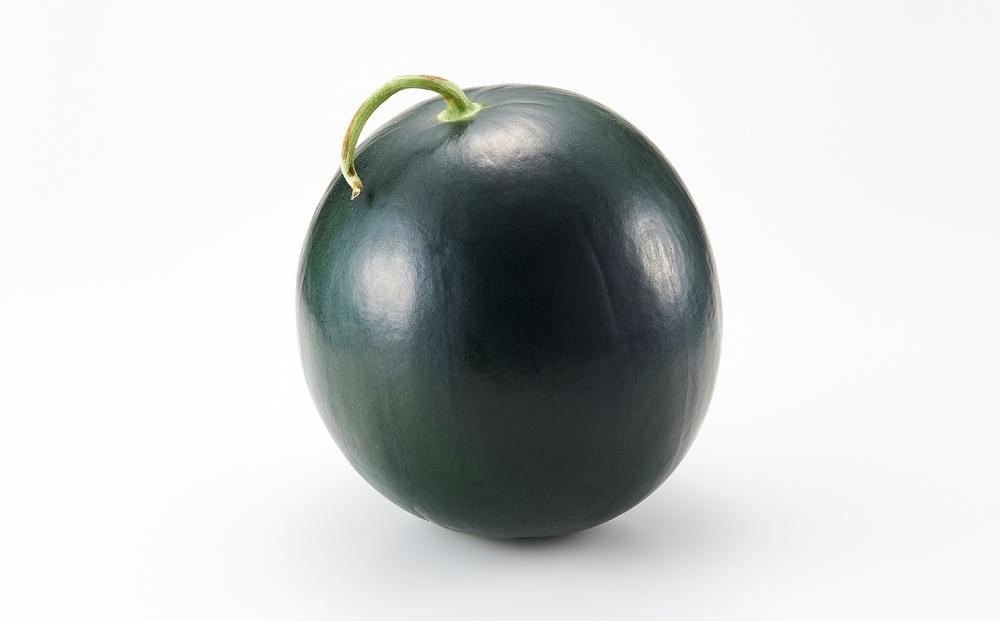 【先行予約 2026年6月下旬以降発送】 大玉 スイカ げん喜玉 西瓜 3Ｌ（1玉）