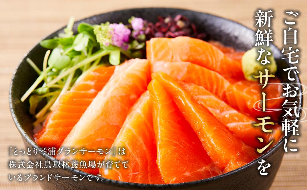 国産 琴浦グランサーモン刺身用　小分け500ｇ（3～5パック） 無投薬養殖で安心