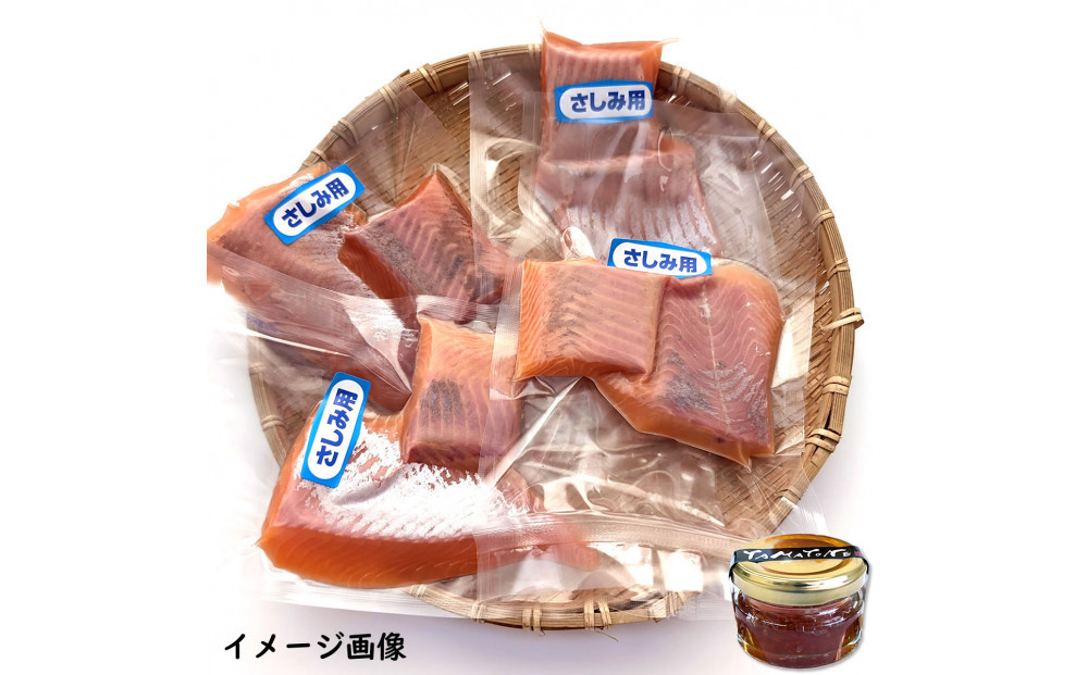 薬剤未使用で安心　国産とっとり琴浦グランサーモン刺身用500g いくら付 訳あり 小分け個包装で便利
