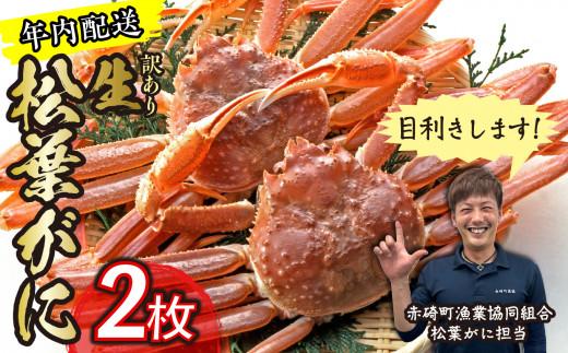 （訳あり）松葉ガニ（生なま）2枚【年内配送】※着日指定不可※北海道、沖縄、一部離島への配送不可《ずわいがに　かに　カニ　蟹》
