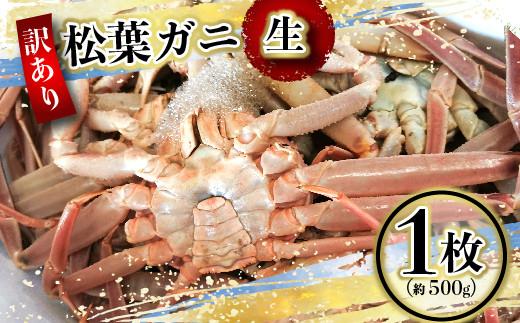 （訳あり）松葉ガニ（生なま） 1枚（約500g）【年内配送】※着日指定不可※北海道、沖縄、一部離島への配送不可《ずわいがに　かに　カニ　蟹》