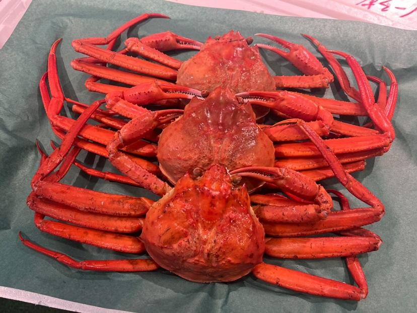 （訳あり）紅ズワイガニ（ボイル）（ 3 ～ 4 枚 ）※着日指定不可※北海道、沖縄、一部離島への配送不可《紅ずわいがに　かに　カニ　蟹》