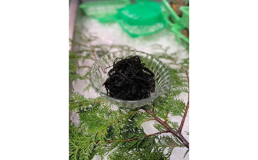 赤碕産 冷凍生クロモ(太もずく) 250g×2P