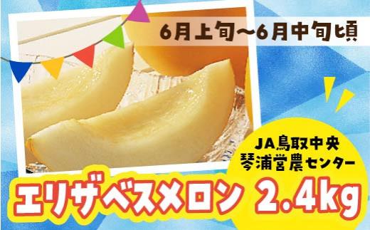 【先行予約】数量限定 鳥取県産 エリザベスメロン 4玉（2.4kg）