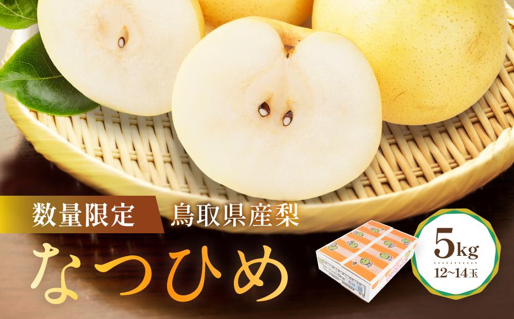 数量限定 鳥取県産梨 なつひめ 5kg（12～14玉）